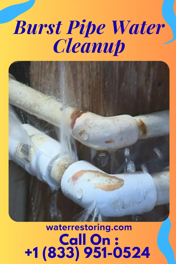Burst Pipe Water Cleanup in Morrice, MI