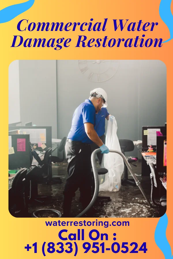 Commercial Water Damage Restoration in Morrice, MI