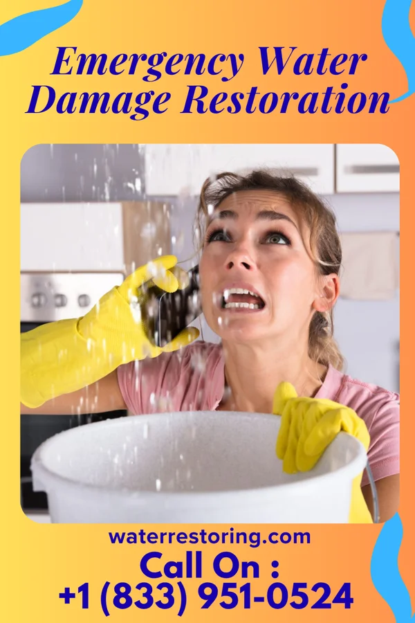 Emergency Water Damage Restoration in Morrice, MI