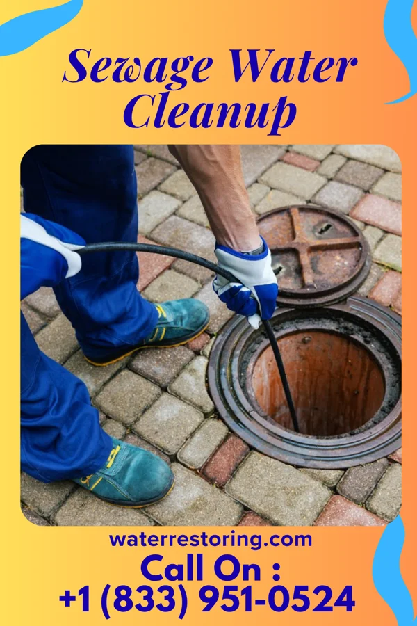 Sewage Water Cleanup in Morrice, MI